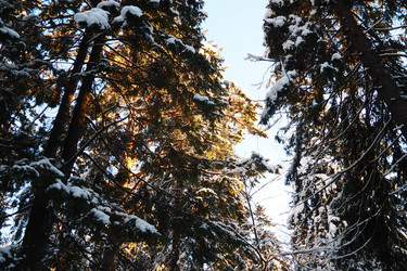 Similar image 21711018