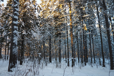 Similar image 21711019