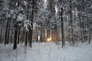 Similar image 21711022