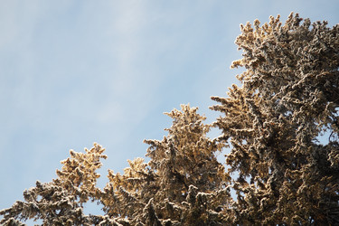 Similar image 21711024