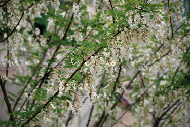 Similar image 21710171