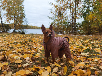 Similar image 21710185