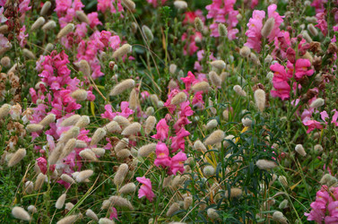 Similar image 21710187