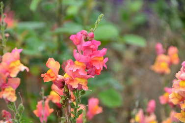 Similar image 21710189