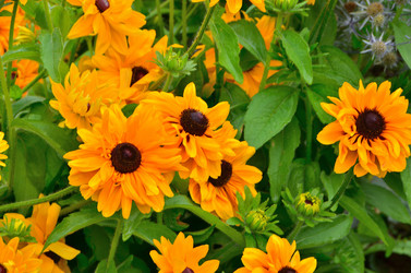 Similar image 21710190