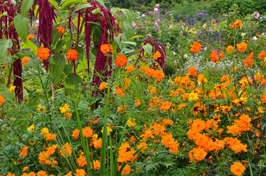 Similar image 21710191