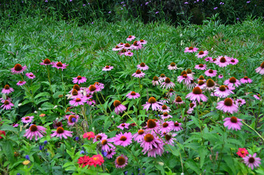 Similar image 21710194