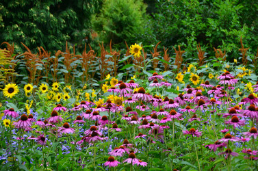 Similar image 21710196