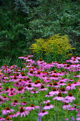 Similar image 21710197