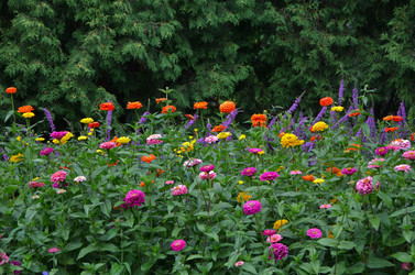 Similar image 21710198