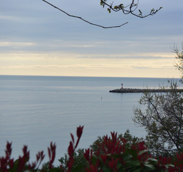 Similar image 21710199