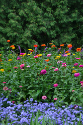 Similar image 21710200