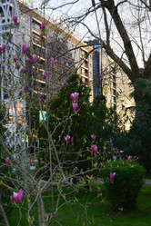 Similar image 21710204