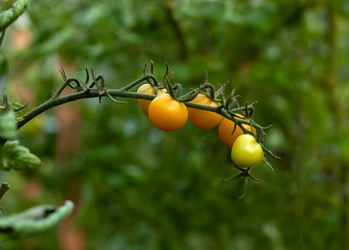 Similar image 21714258