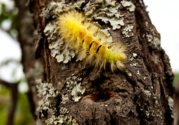 Similar image 21714267