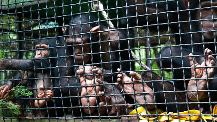 Similar image 21714277