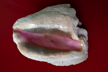 Similar image 21710211