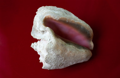 Similar image 21710212