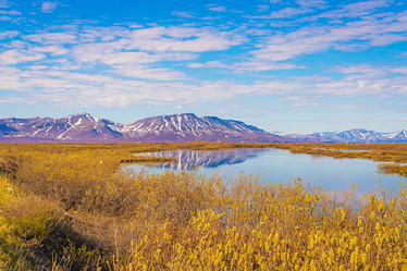 Similar image 21711587