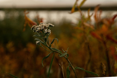 Similar image 21711588