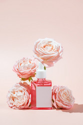 Similar image 21710225