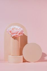 Similar image 21710230