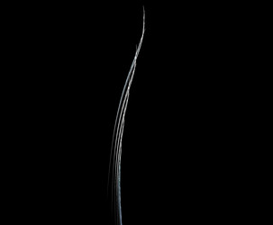 Similar image 21710530