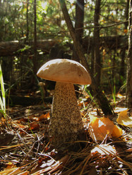 Similar image 21711717