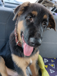 Similar image 21711447