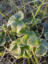 Similar image 21711448