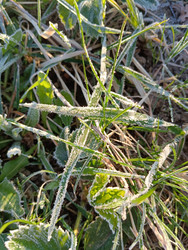 Similar image 21711449