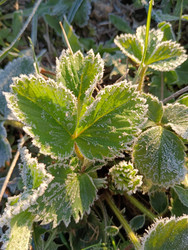 Similar image 21711450