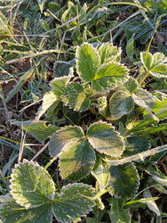 Similar image 21711451