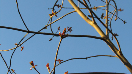 Similar image 21711453