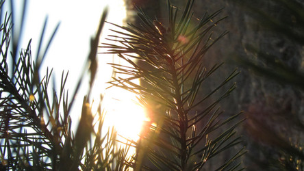 Similar image 21711454