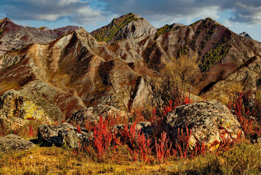 Similar image 21711922