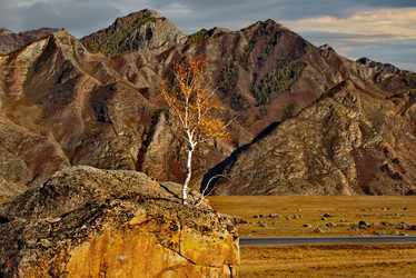 Similar image 21711925