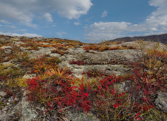 Similar image 21711931