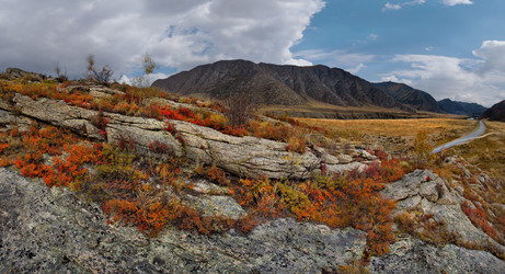 Similar image 21711932