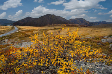 Similar image 21711933