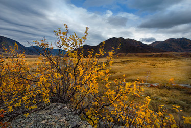 Similar image 21711934