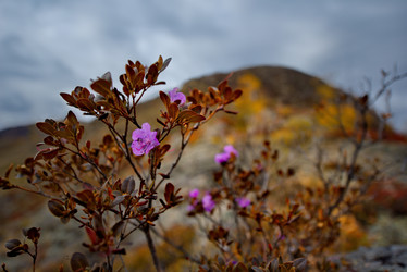 Similar image 21711935