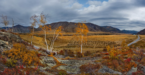 Similar image 21711936