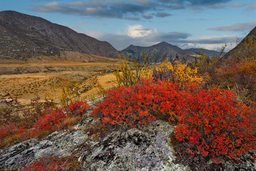 Similar image 21711937