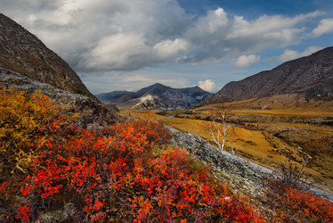 Similar image 21711940