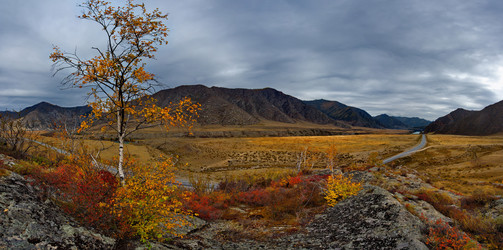 Similar image 21711942