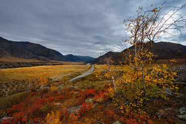 Similar image 21711943