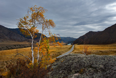 Similar image 21711944