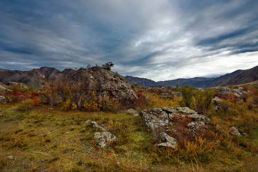 Similar image 21711945