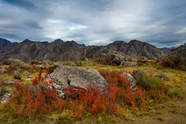 Similar image 21711946